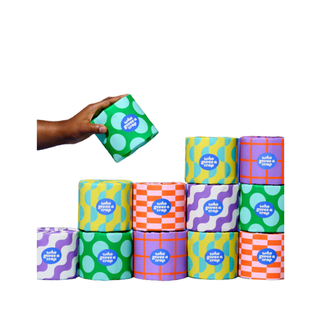 Toilet Paper 24pk (Who Gives a Crap)